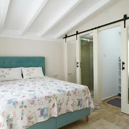The Blue Mansion - Charming Family In * Cesme