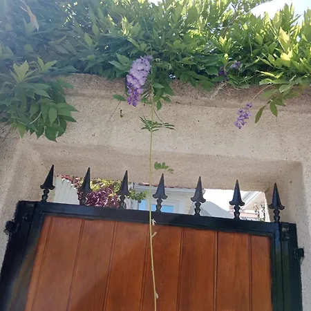 Vilă The Blue Mansion - Charming Family In *